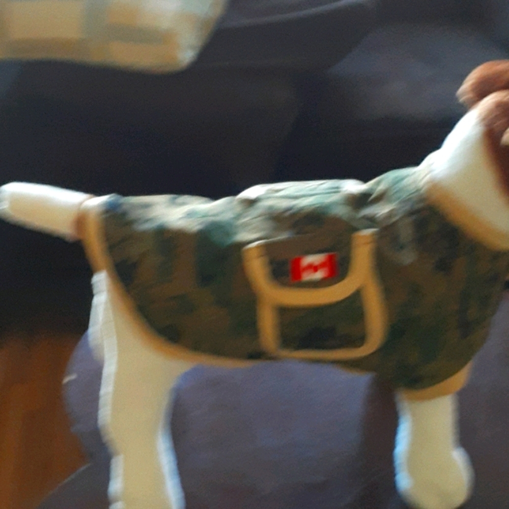 Dog apparel